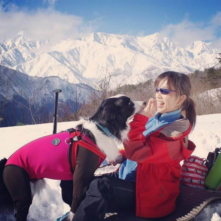 犬と雪山